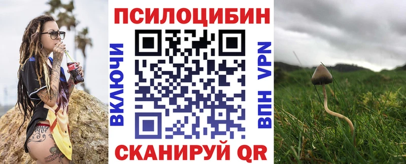 сколько стоит  Беломорск  Псилоцибиновые грибы Cubensis 